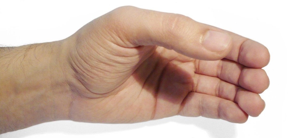 In dieser Handposition kannst du eine Münze palmieren: zwischen Handballen und deiner Handinnenfläche.